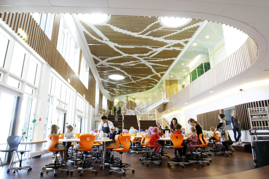 Verkefni Rafís nr. 3