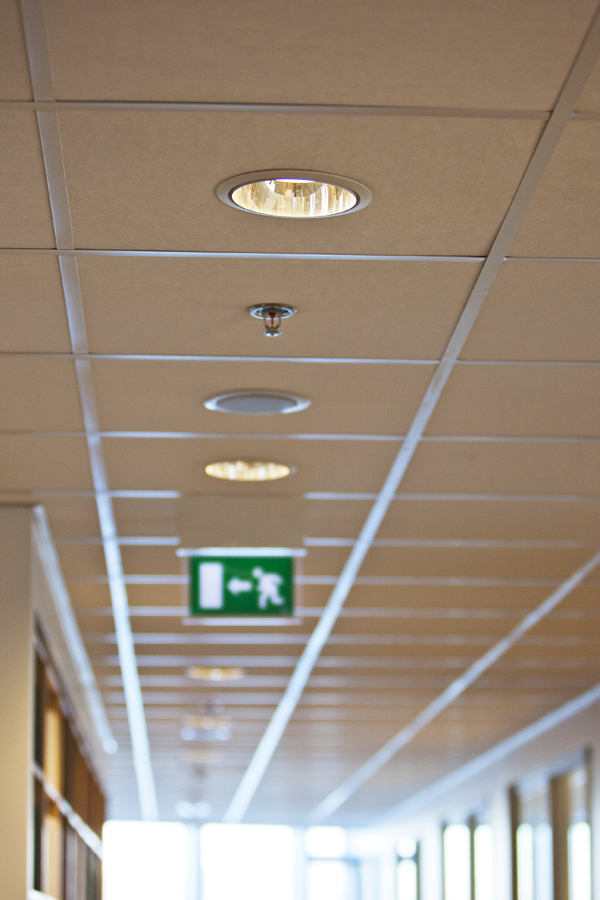 Verkefni Rafís nr. 10