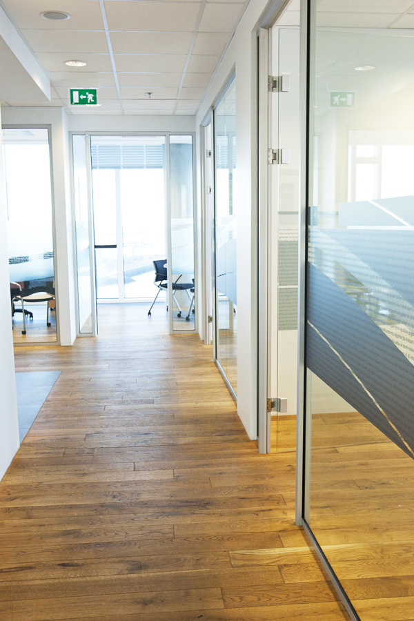 Verkefni Rafís nr. 11