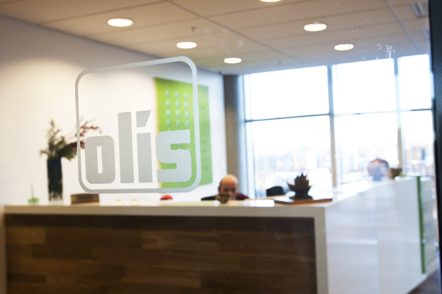 Verkefni Rafís nr. 17